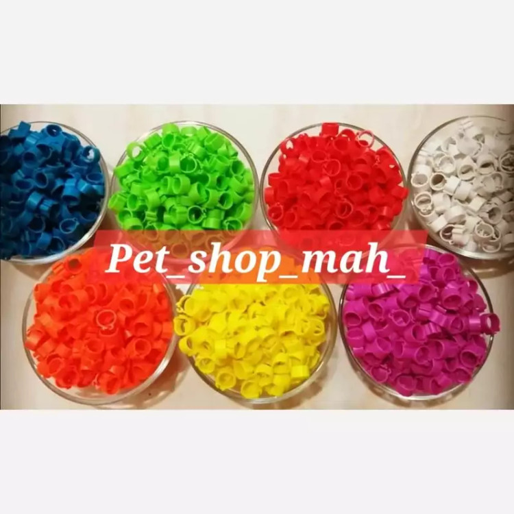 پلاک چفتی شمارهدار کبوتر با حک مشخصات مشتری و جنس خارجی