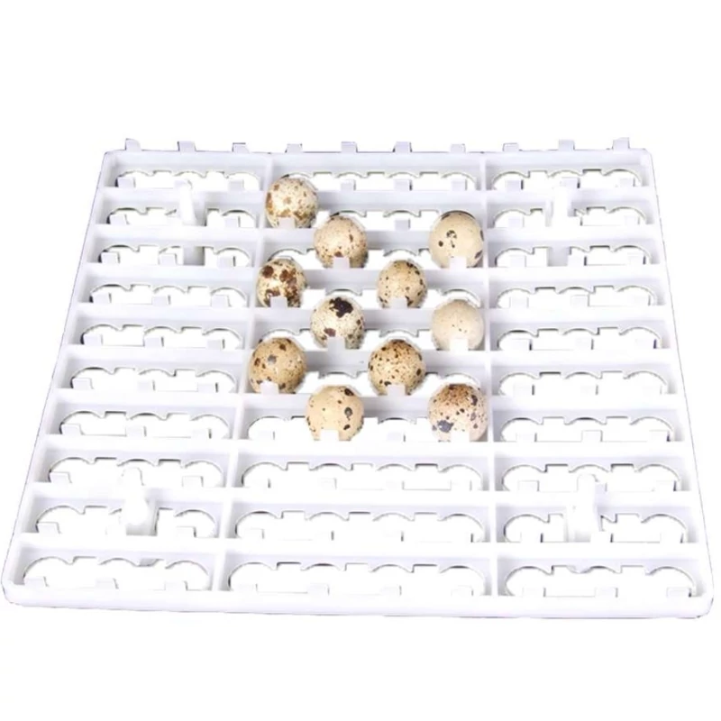 شانه تخم بلدرچین پلاستیکی مخصوص دستگاه جوجه‌کشی خانگی و صنعتی