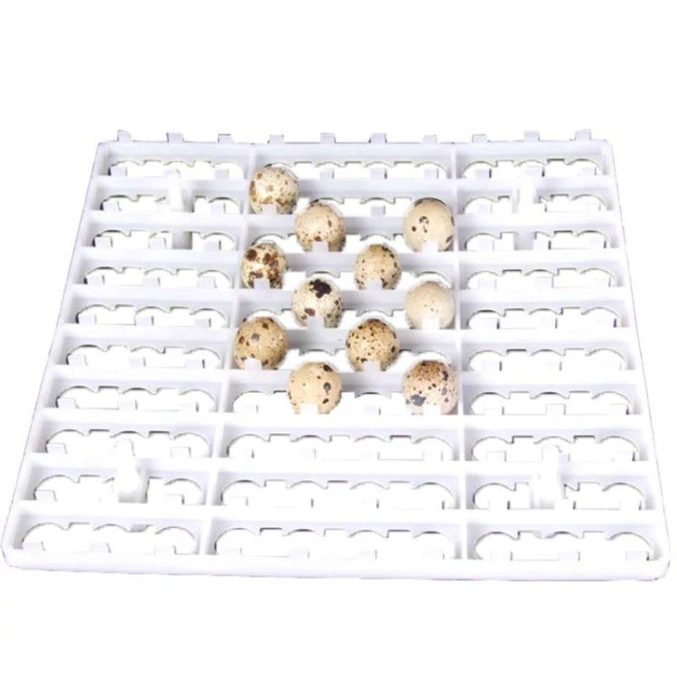 شانه تخم بلدرچین پلاستیکی مخصوص دستگاه جوجهکشی خانگی و صنعتی