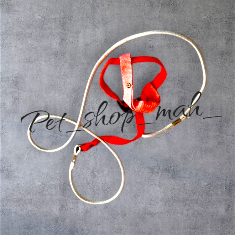 خرید جلیقه پرواز طوطی سانان | بند آموزش و تفریح پرندگان متوسط