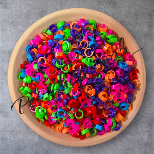 پلاک چفتی شمارهدار مخصوص کبوترهای پرشی و پرندگان زینتی با قلمپا ظریف