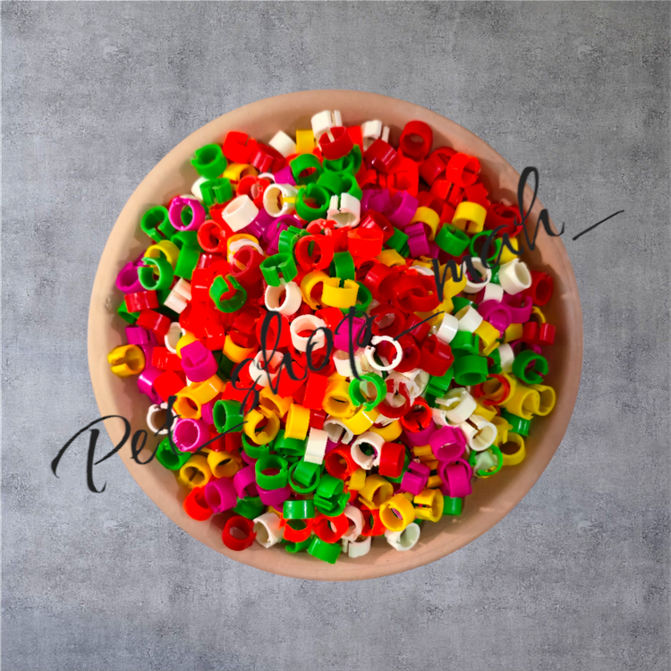 پلاک کبوتر چفتی ساده رنگی برای شناسایی و تفکیک کبوترها