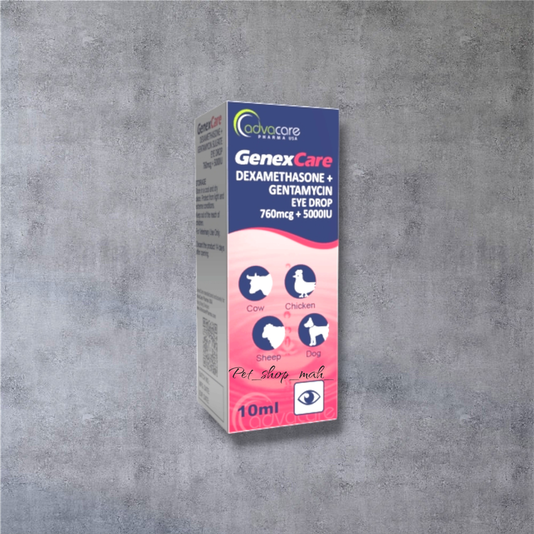 قطره چشم ادواکر آمریکا مخصوص درمان عفونت چشم حیوانات و پرندگان – پت شاپ ماه