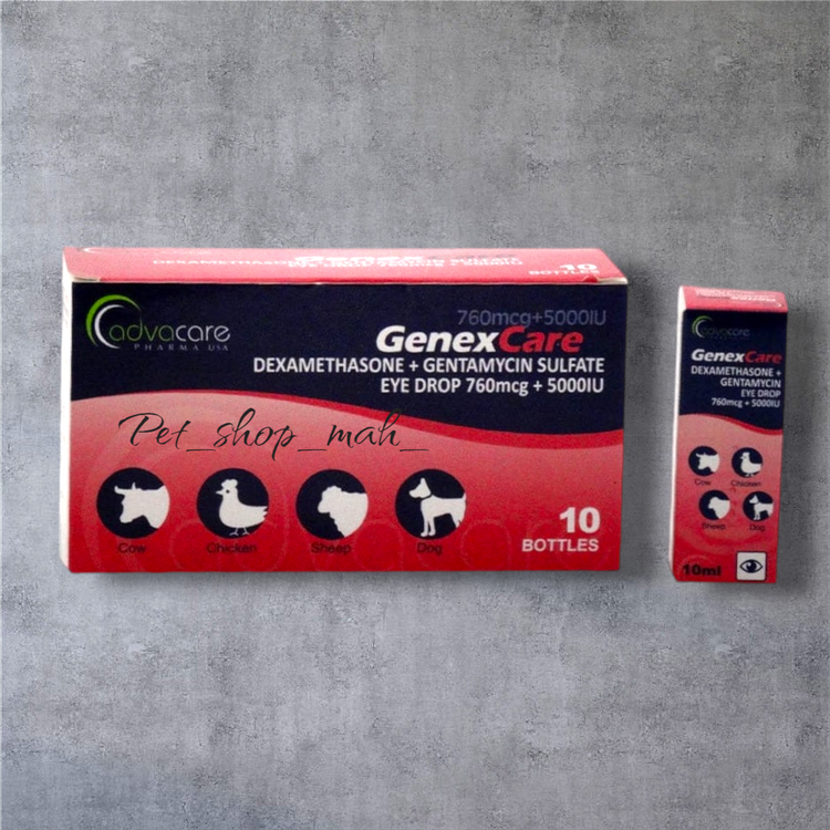 قطره چشم ادواکر آمریکا مخصوص درمان عفونت چشم حیوانات و پرندگان – پت شاپ ماه