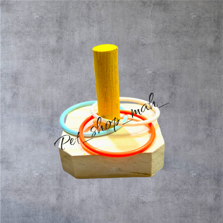 اسباببازی حلقهانداز چوبی مخصوص آموزش و سرگرمی پرنده