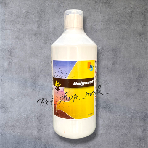 محلول بلگازول Belgasol الکترولیت و ویتامین B2 مخصوص کبوتر اصل بلژیک